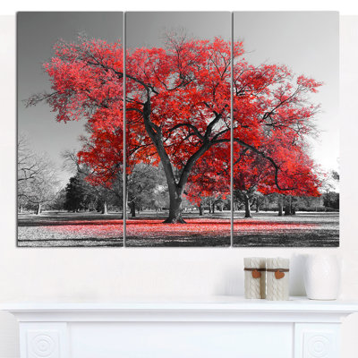 « big red tree on brumey day », reproduction de photo à multiples images sur toile