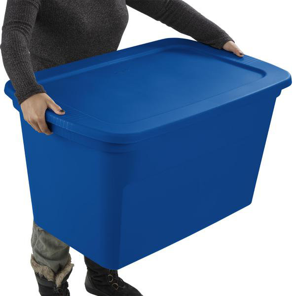 https://assets.wfcdn.com/im/24788923/resize-h755-w755%5Ecompr-r85/2127/212715631/Sterilite+30+Gallon+Plastic+Stackable+Storage+Tote+Container+Box.jpg