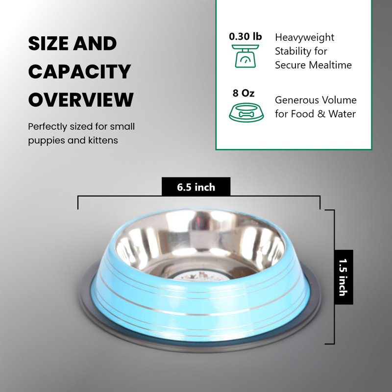 Blue Stainless Steel Non-Skid Pet Bowl Set