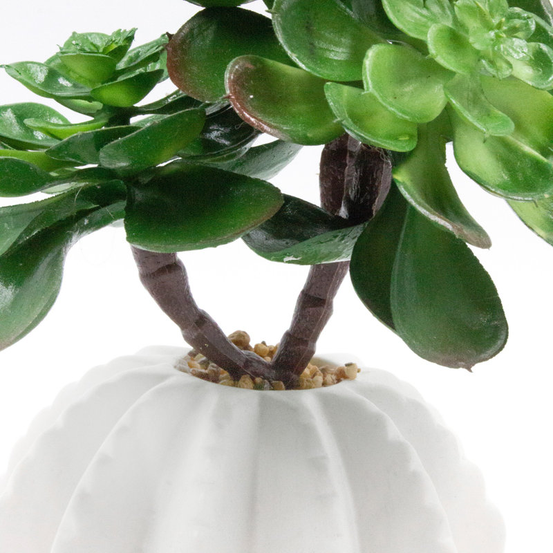 Fausse plante grasse 10 "dans un vase en pierre