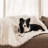 PupProtector Waterproof Throw Blanket-103957270-69271855