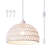 Derica 1 - Light 11.81in. Plug-In Woven Rattan Dome Pendant with Rope Accents Boho Style, 14.76 feet Cord-1101396949-1128189482