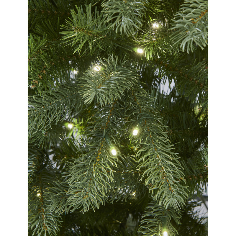 ARUNDEL SPRUCE - Artificial Christmas Tree, 12 ft, Pre-Lit