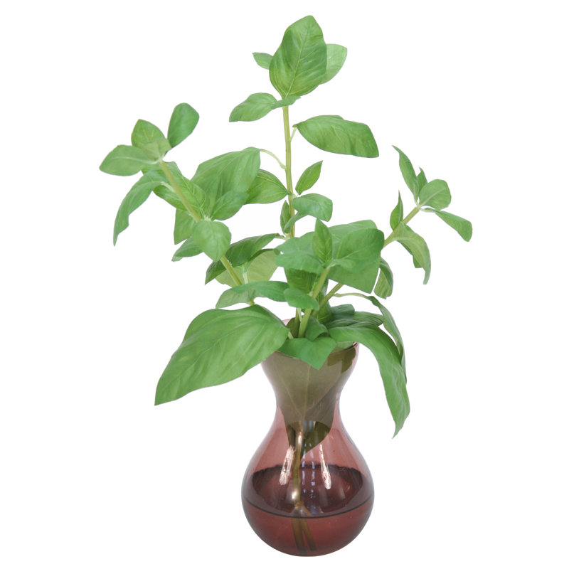 Douille basil en vase, Mauve