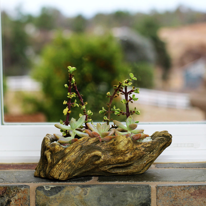 Kellar Ceramic Statue Planter