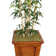 Aislin 72" Artificial Bamboo Tree in Planter
