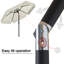 Holmquist parasol-400481529-303353553