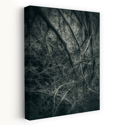 Contemporary Art Classic Gothic Retro Forest Nature Wall Art by Angelo Cerantola - Wrapped Canvas Print