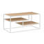 Lylarose Coffee Table with Storage