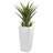 Spiky Agave Artificial Plant in White Planter