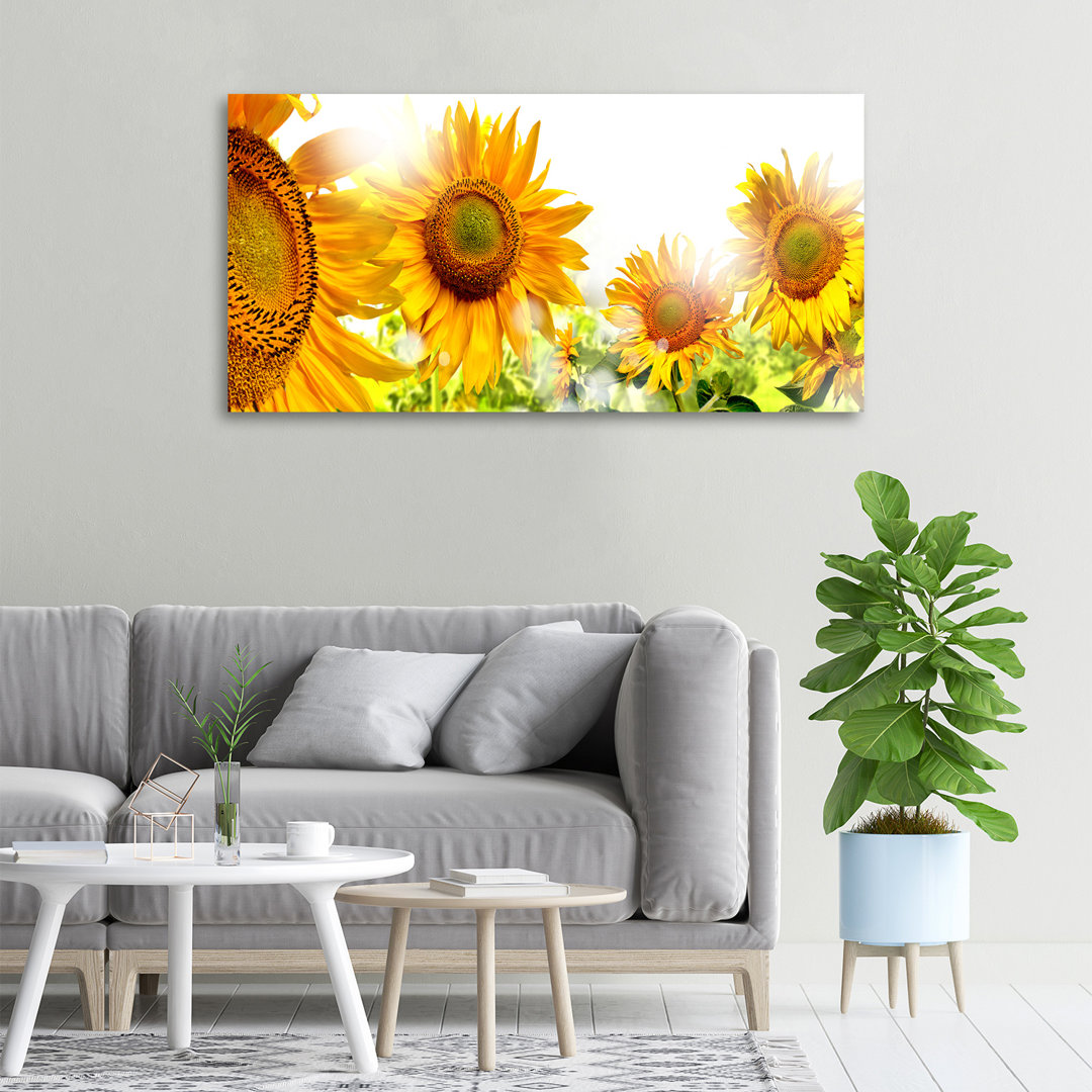 Sonnenblumen - Kunstdrucke auf Leinwand - Wrapped Canvas