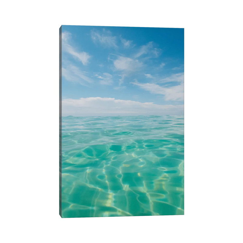 Florida Water IV by Bethany Young - Print on Canvas, Wrapped Canvas, 45.72cm H x 30.48cm W x 1.91cm D
