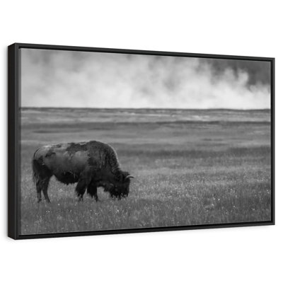 Parc national de Yellowstone