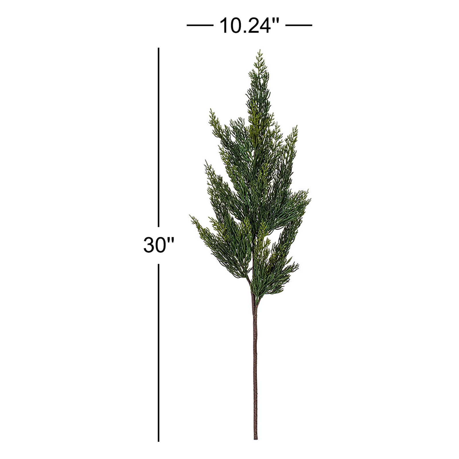 Cedar Fern Floral Stems