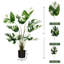 47 plantes