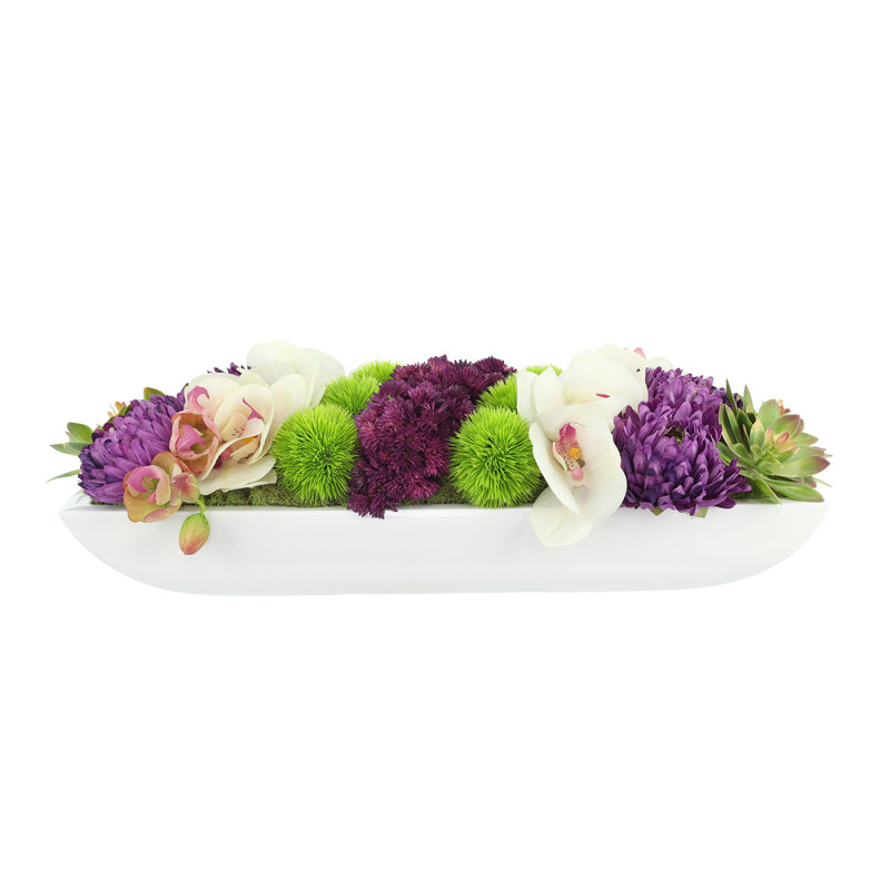 Orchidée Adelina et arrangement de plantes grasses, H 6,5 po x l 19,5 po x P 8 po