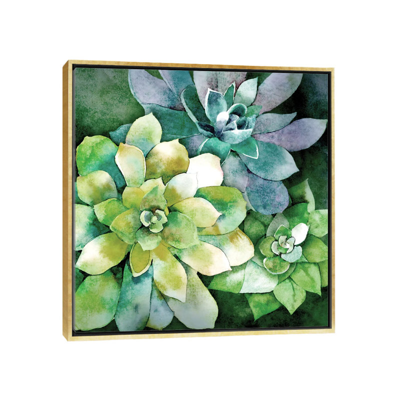 «Summer Succulents» par Conrad Knutsen, impression sur toile tendue sur châssis, H 16 po x l 16 po x P 1,5 po, Pas de tapis
