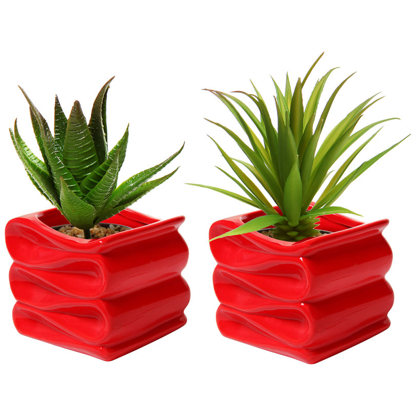 Alexsa Ceramic Pot Planter