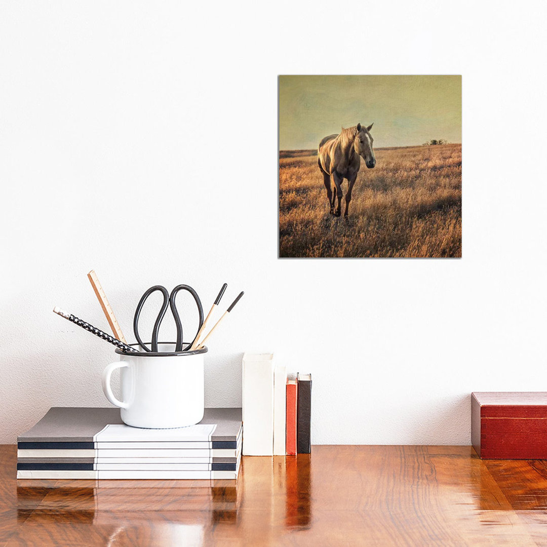 Equine by MScottPhotography - Wrapped Canvas Painting