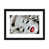 Blanc / aubergine / banane / brun clair / rouge br n'est pas disponible
