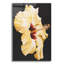 «Sunny» par Barbara Keith - photographie sans cadre-1592785466