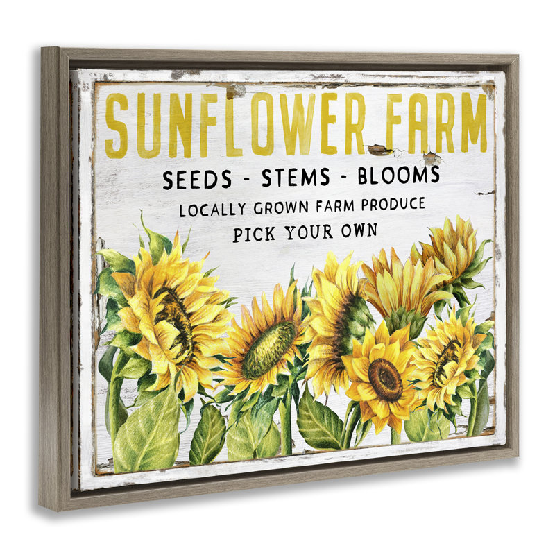  Art mural encadré flottant, "Antique Sunflower Seeds" par Creatif Belle, H 17 po x l 21 po, Brun