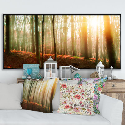 " Forest With Sunlight "