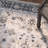 Klose Performance Oriental Rug-21588106-129493793