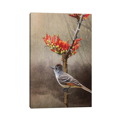 " Ocotillo Flycatcher " by Christopher Vest