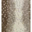 Antelope Fabric-24029996