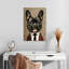 Ketti Gentleman Bulldog-108473999