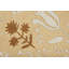 Tapis d'intérieur / extérieur en polypropylène tissé à la machine Wildflowers-132880680-132880685
