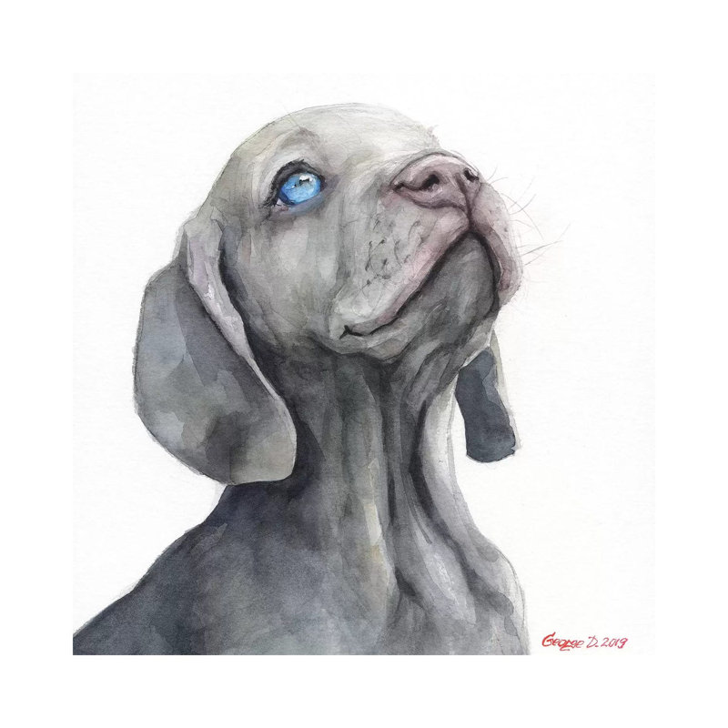 Weimaraner Puppy by George Dyachenko - Wrapped Canvas Gallery-Wrapped Canvas Giclée, 45.72 cm H x 45.72 cm W x 3.175 cm D