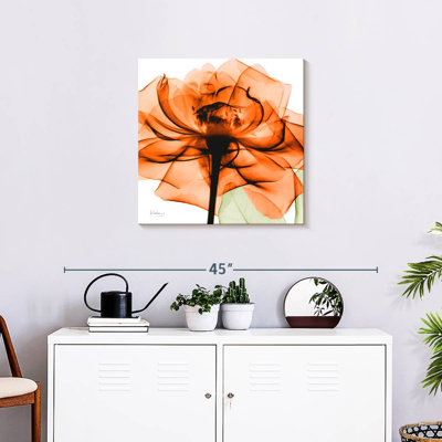 Rayon orange Harnek
