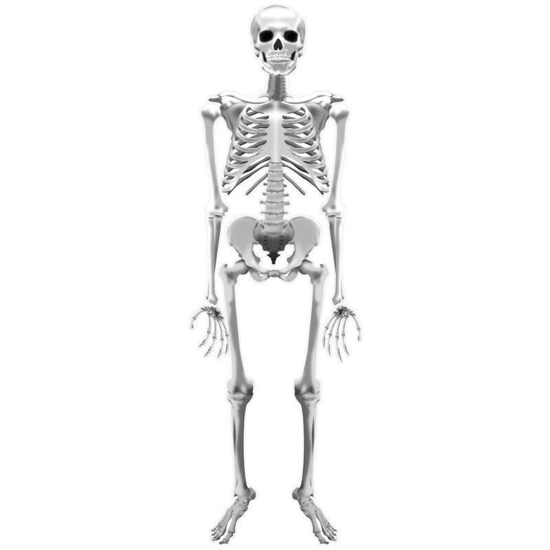 Décalcomanie murale effrayant éclairéne et colle-bâton squelette, H 72 po x l 24 po