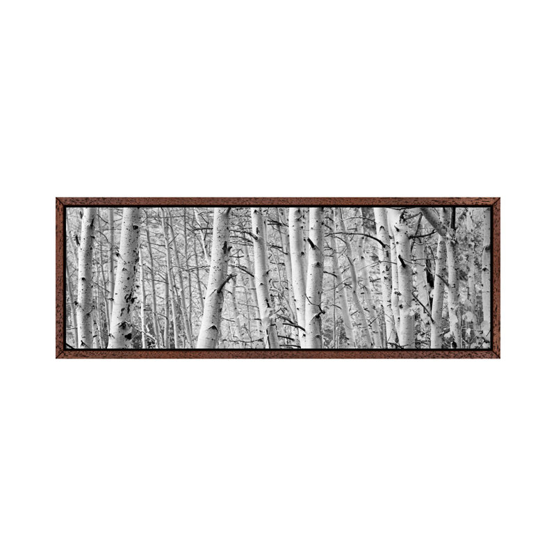 Aspen trees in a forest, Rock Creek Lake, California, USA 1 Piece Floater Frame Panoramic Wall Art on Canvas, Classic Wood