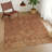 Machine Washable Indoor/Outdoor Efimenko ACN2299 Global Rug-1001366160