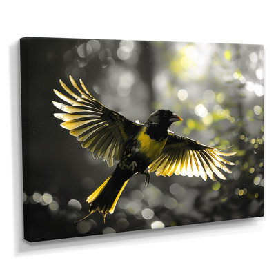 Jaune, noir, rythme de la forêt tropicale, oiseau II