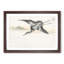 Common Crane by Numata Kashu - Picture Frame Painting Print-55686466-55686465