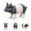 Statues de cochon de jardin en résine pour pelouse d'extérieur