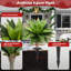 Agave artificielle-305410915-310408673