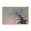 «Gnarled Tree I» par Michael Willett, reproduction d'art-1595130699-1595130701-1595130697