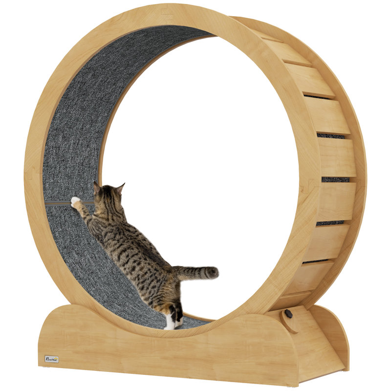 Cat Perch, 121cm H x 100cm W x 36.5cm D, Brown/Grey