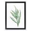 White Garland Lily Flower by Pierre-Joseph Redoute - Picture Frame Art Prints-55612515-55612516