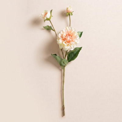 Audet Peony Stems