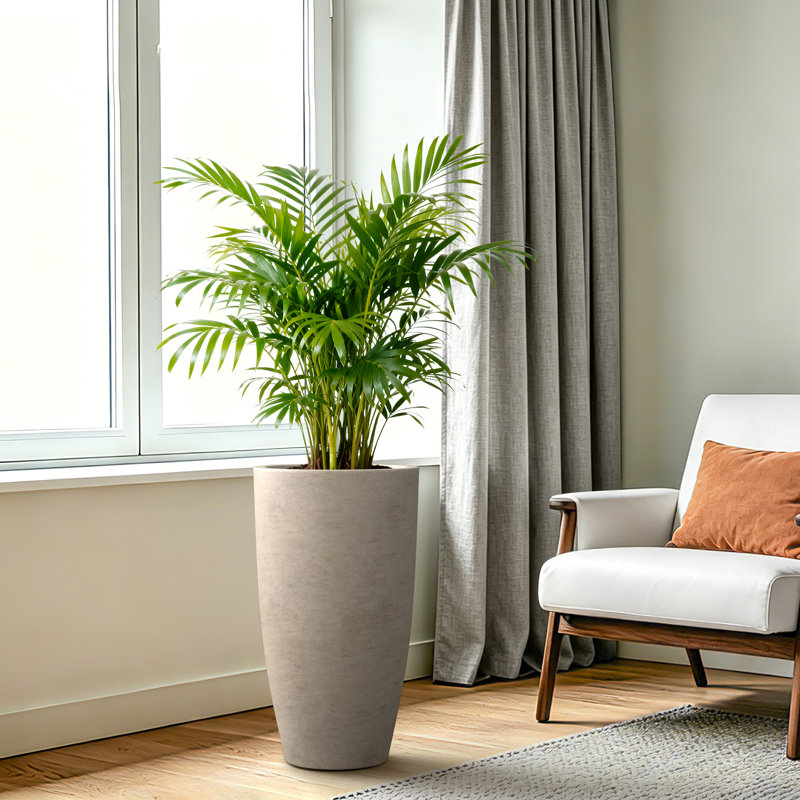 Pot à fleurs Ceth, H 23,6 po x l 13,3 po x P 13,3 po, Warm Grey, 1