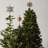Quentin Pine Tree with Clear Lights-189428613