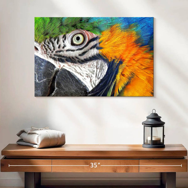 Brampt Macaw Eye, H 16 po x l 24 po