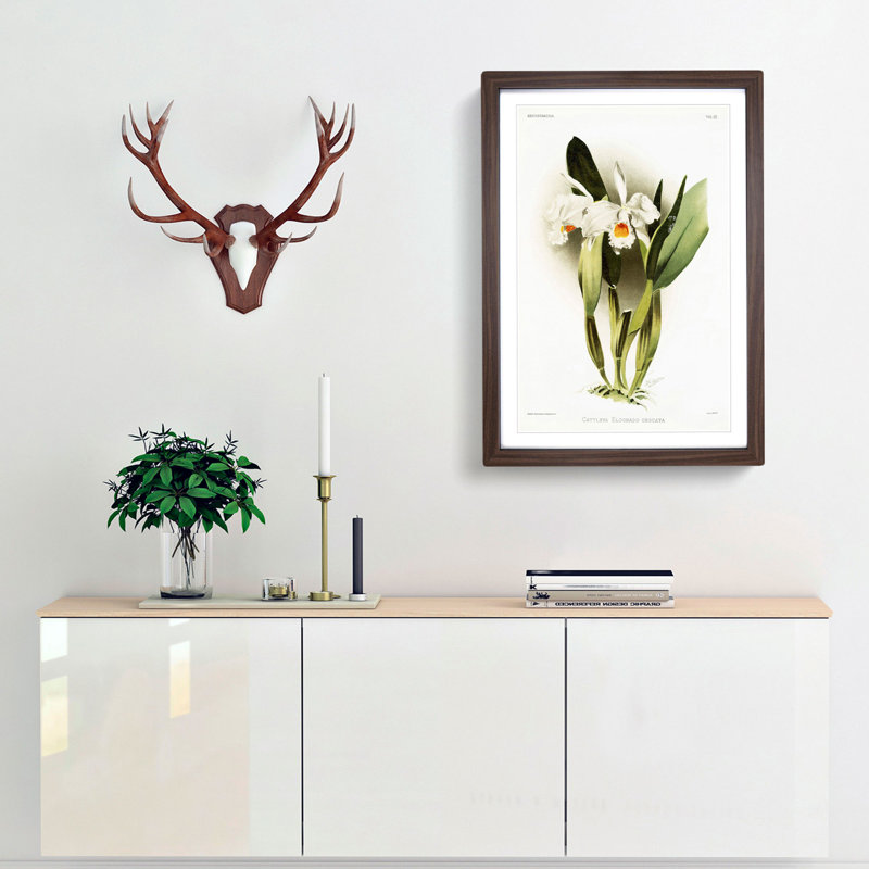 Magnolia Flowers Illustration Tab.93 by Frederick Sander - Picture Frame Art Print, Walnut, 91cm H x 60cm W x 2cm D