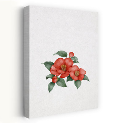 Camélia rouge en fleurs - Illustration murale minimaliste, délicate et élégante représentant une fleur naturelle